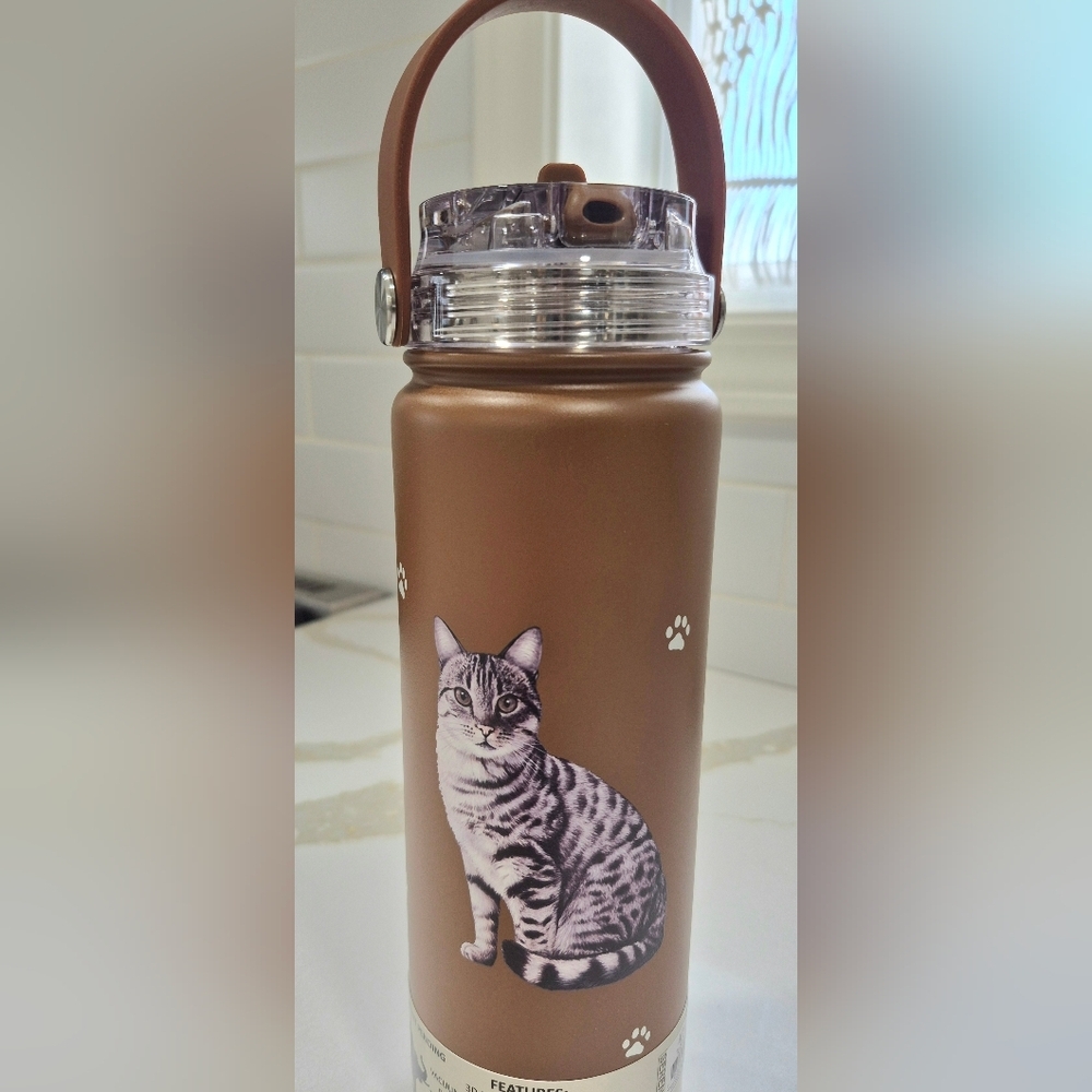 Silver Tabby Cat  Serengeti Chocolate Water Bottle